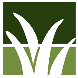 Escondido Lawn Clean Up
