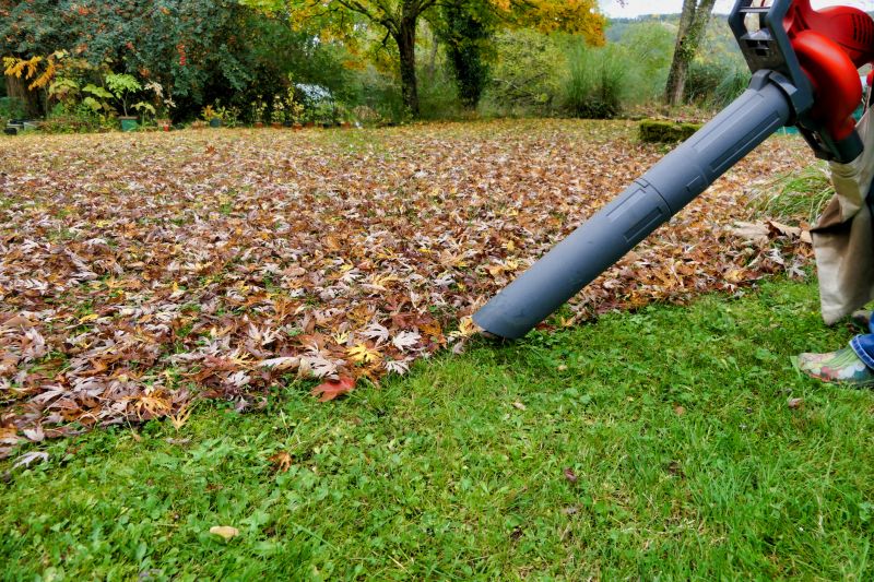 Equipment Used for Leaf Clearing
