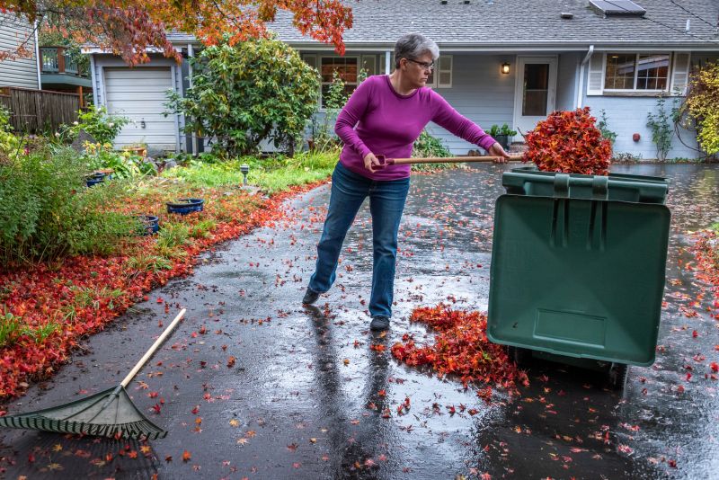 Fall Cleanup Solutions