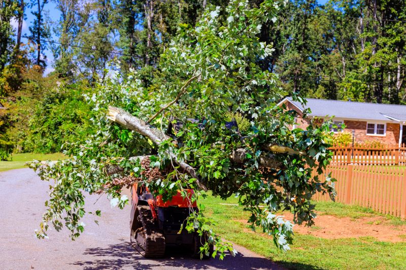 Commercial Leaf Removal detail