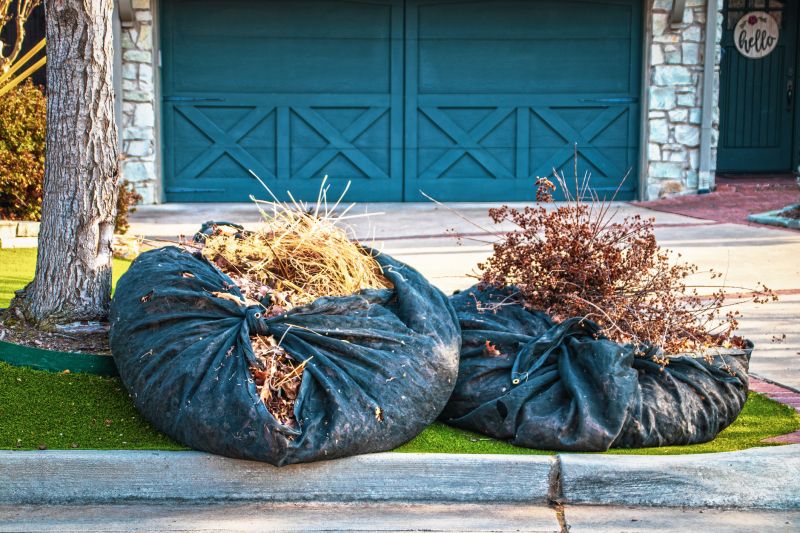 Lawn Waste Removal