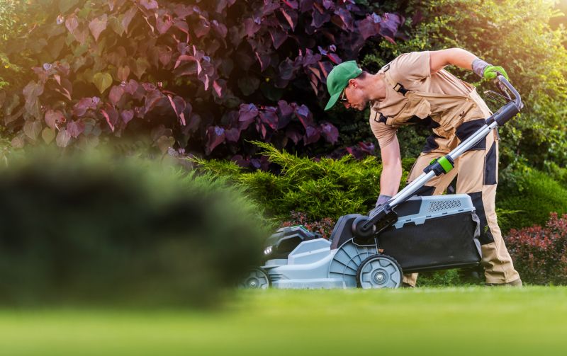 Specialized Lawn Service Providers