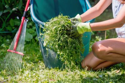 Fall Lawn Cleanup Service in Escondido