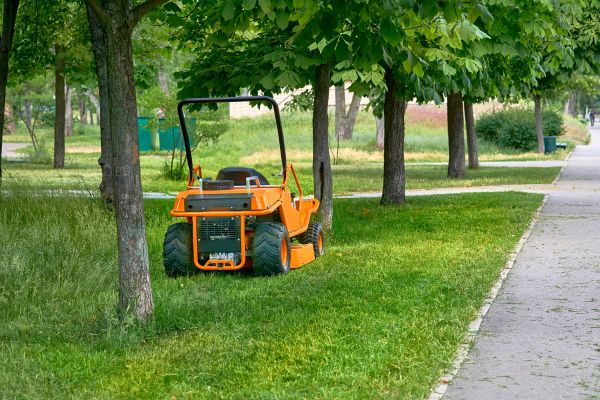 Landscaping Cleanup Service in Escondido