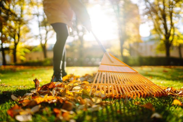 Leaves Raking in Escondido