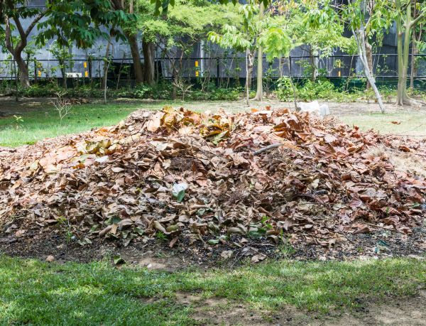 Brush Heap Removal