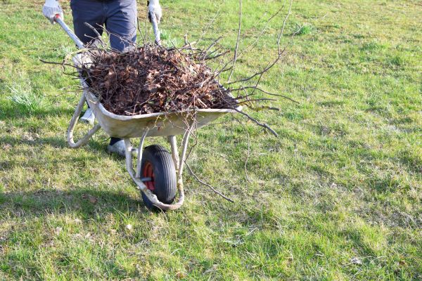 Yard Brush Removal Service