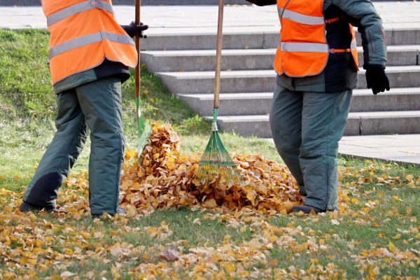 Leaf Hauling Service in Escondido