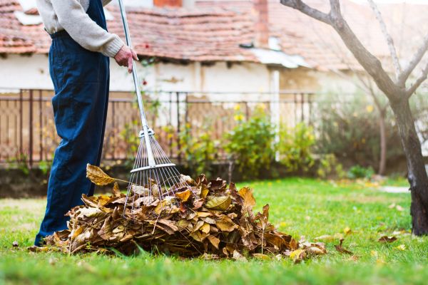Spring Lawn Cleanup in Escondido