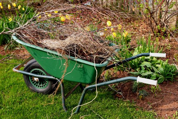 Cost of Lawn Waste Removal in Escondido
