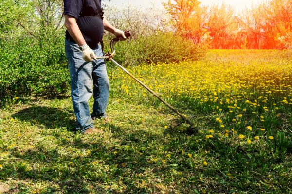 Yard Clearing Service in Escondido