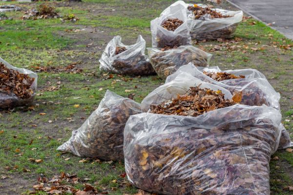 Leaf Pile Disposal in Escondido